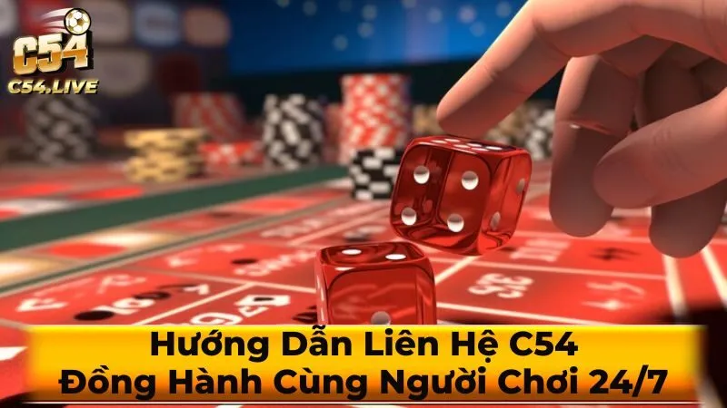 Các vấn đề thường gặp và cách liên hệ