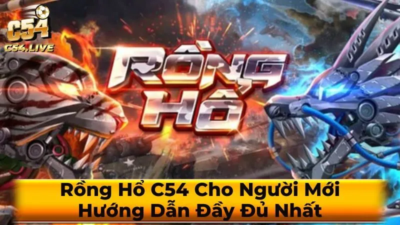 Rồng Hổ C54 Cho Người Mới: Hướng Dẫn Đầy Đủ Nhất